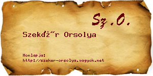 Szekér Orsolya névjegykártya