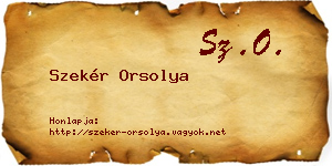 Szekér Orsolya névjegykártya